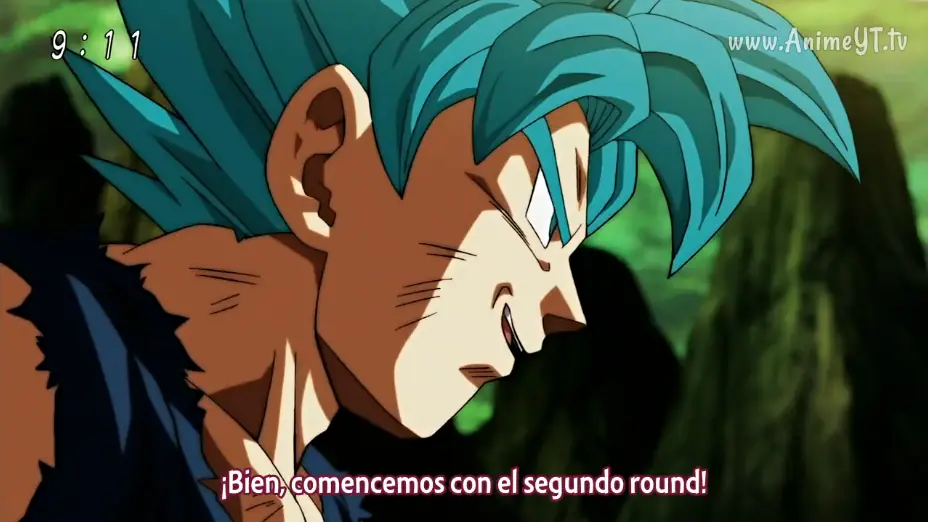 multiverso