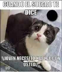 risas
