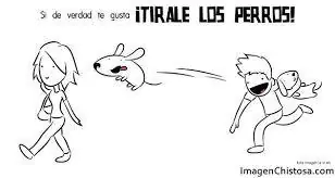Para disfrutar de la risa