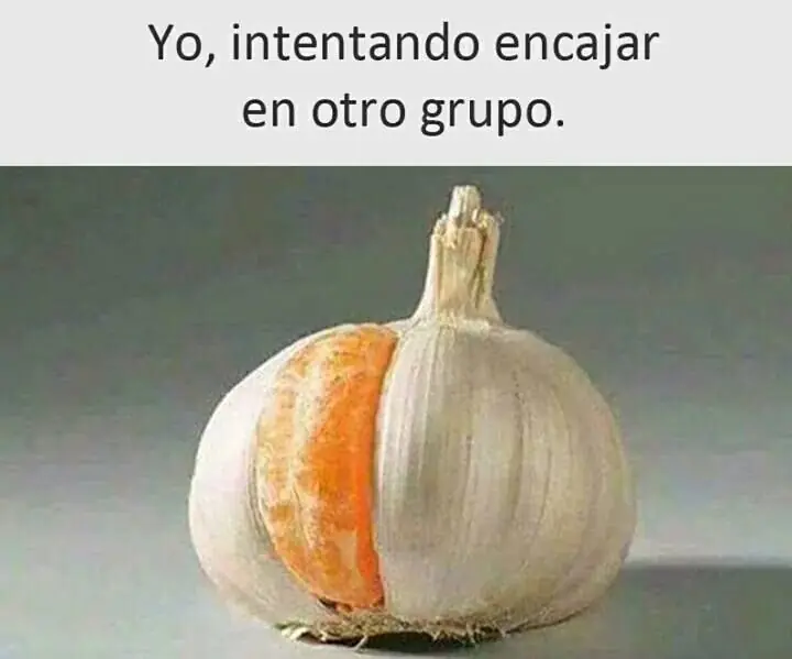 ALEGRAR