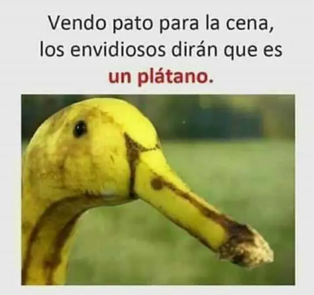 MARTES
