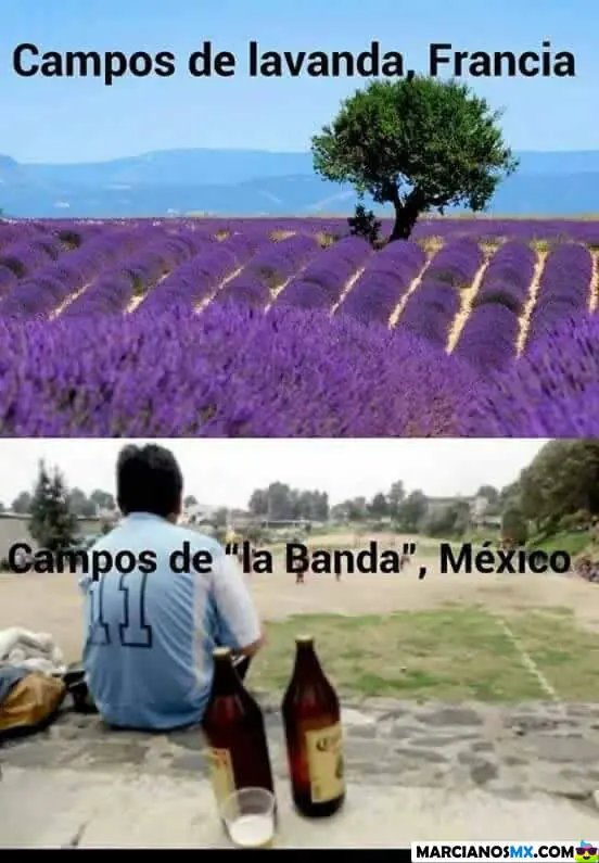 feliz