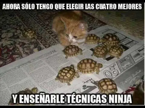Humor