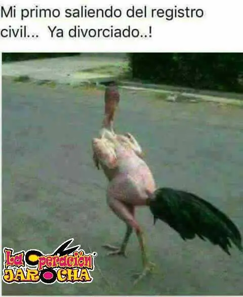 feliz
