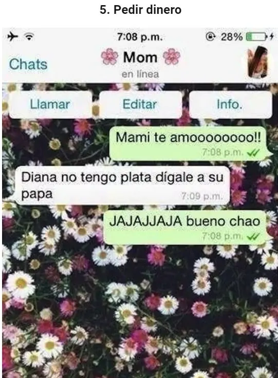 trolleos