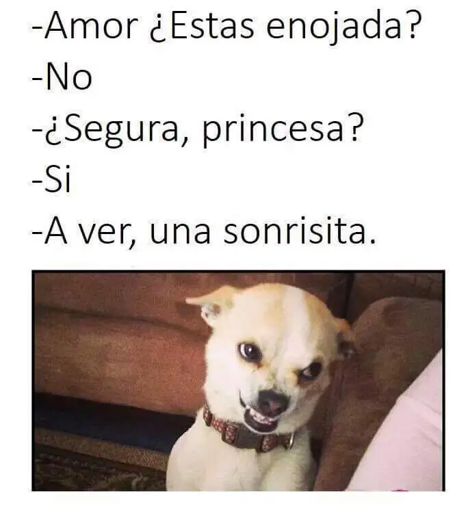 Madrugador