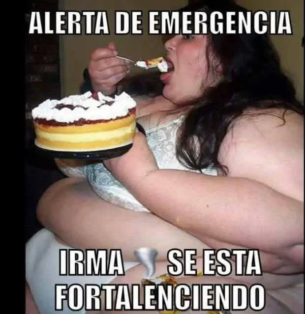 Madrugada cargada de armonía con este crap de humor WTF