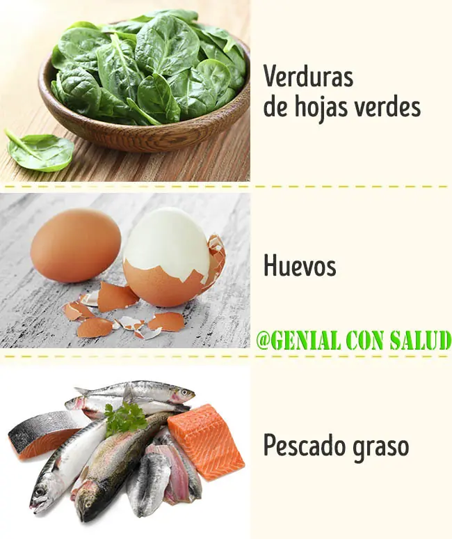 alimentos