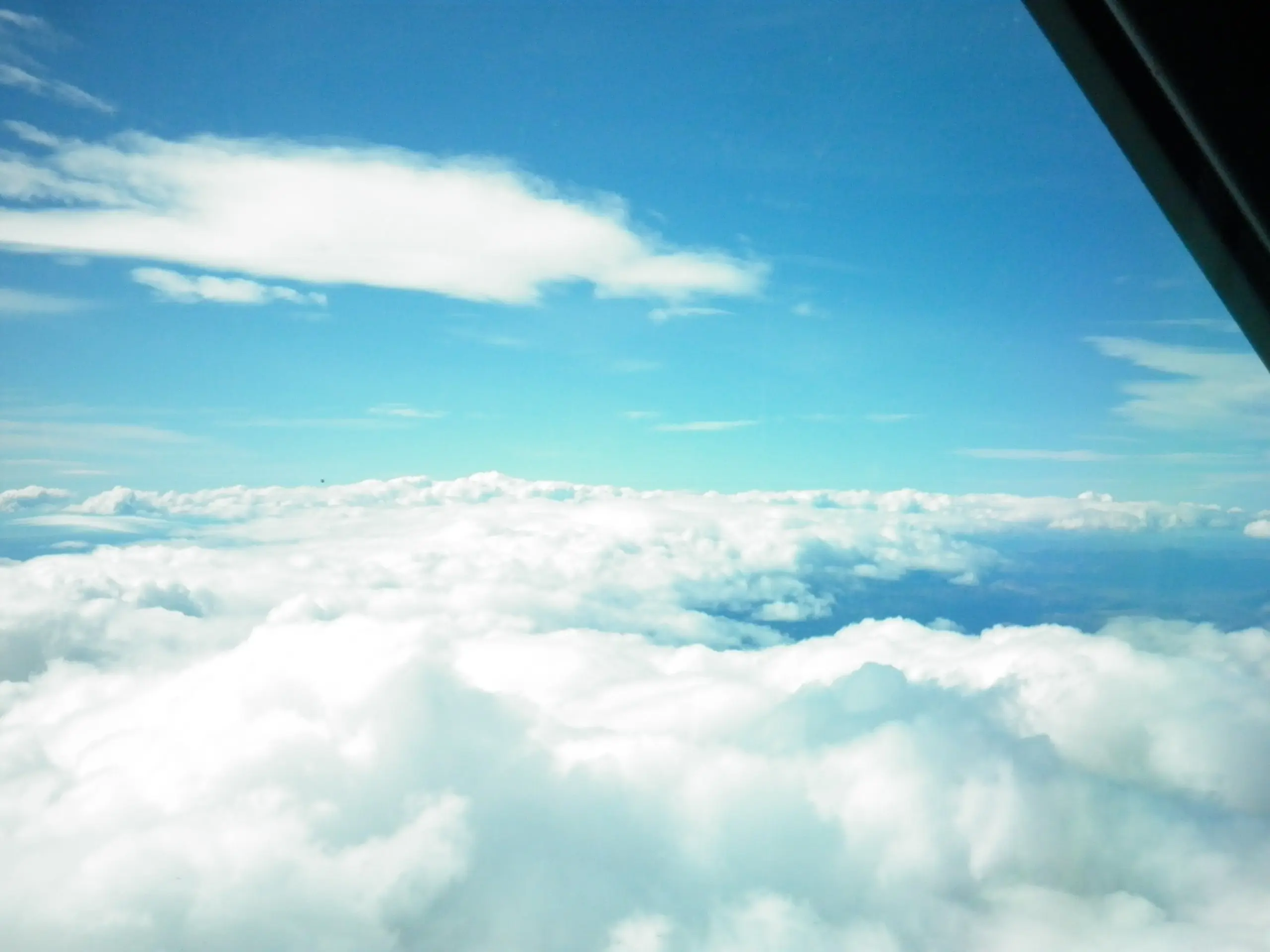 avion
