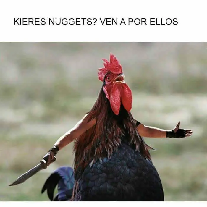 gracioso