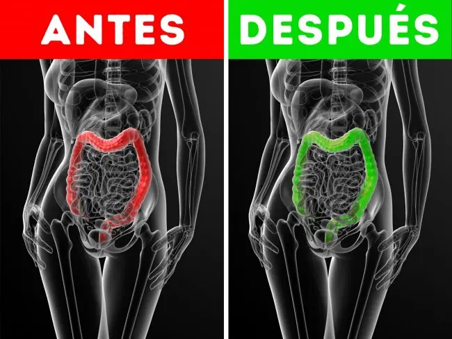 9 razones contundentes para tomar aceite de oliva en ayunas