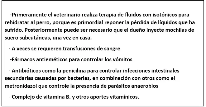 Gatos