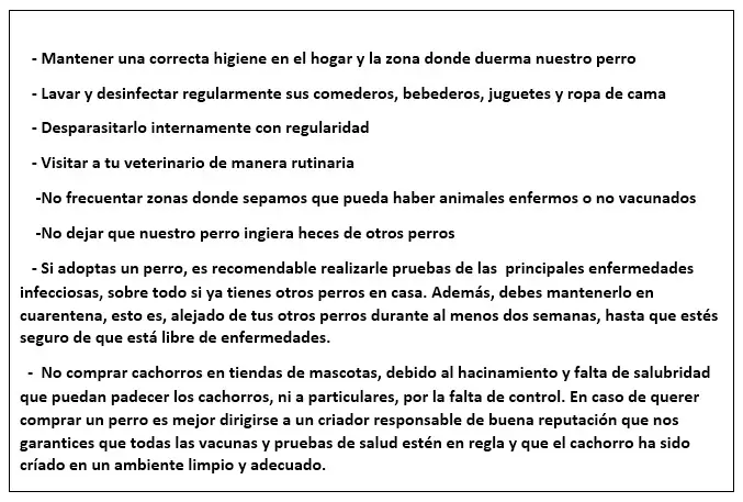 Enfermedades:Perros y gatos[Parte 1]