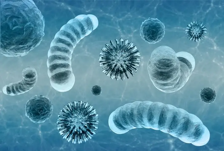Imaginas