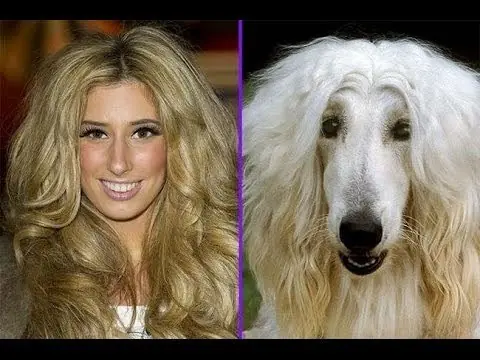 Parecidos