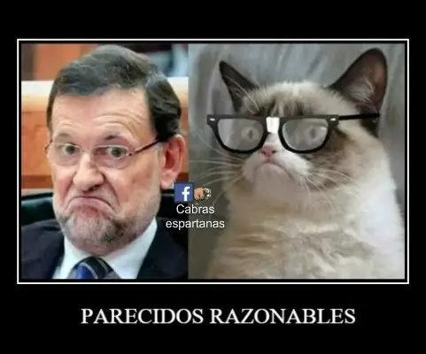 Riete