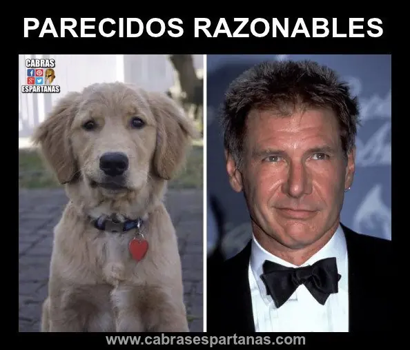 Mucho