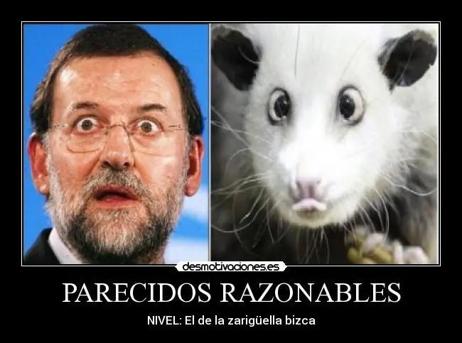Razonables