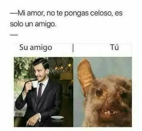 Humor, humor y mas humor para que no pares de reir!