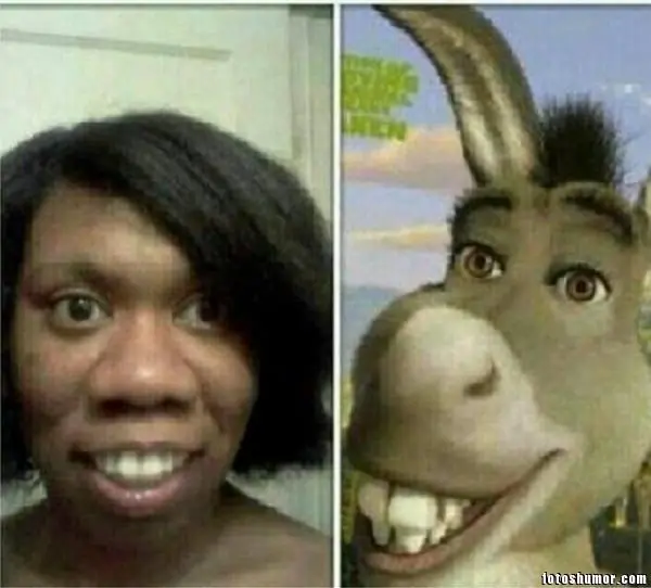 Razonables