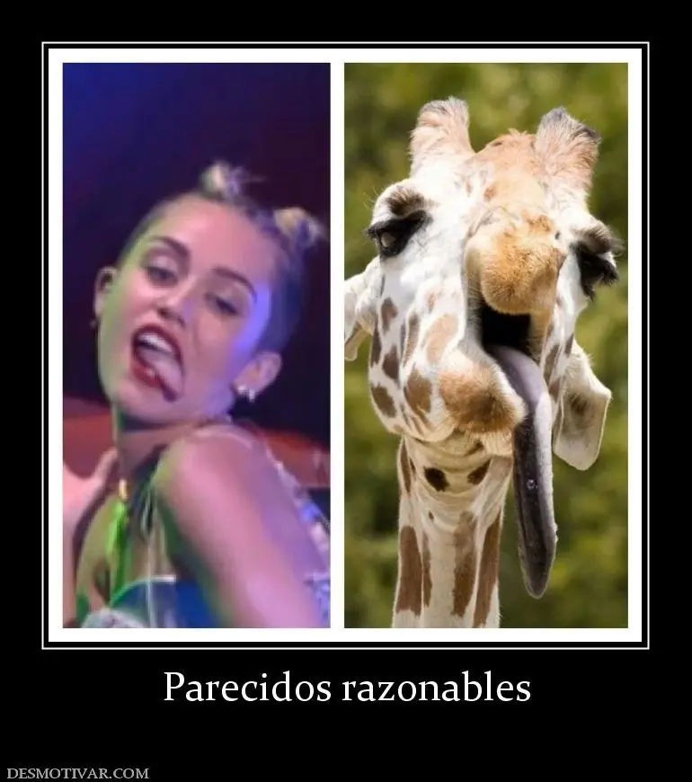 Humor