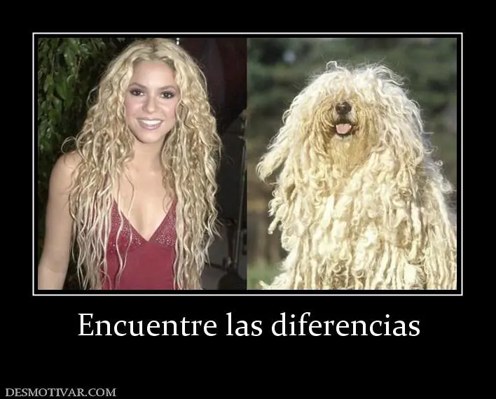 Humor de parecidos razonables, riete mucho rufián!