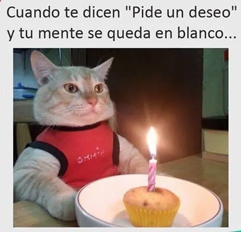 diversion