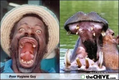 Parecidos