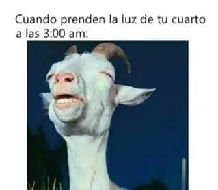 Sabado de mucho humor, no pararas de reir!