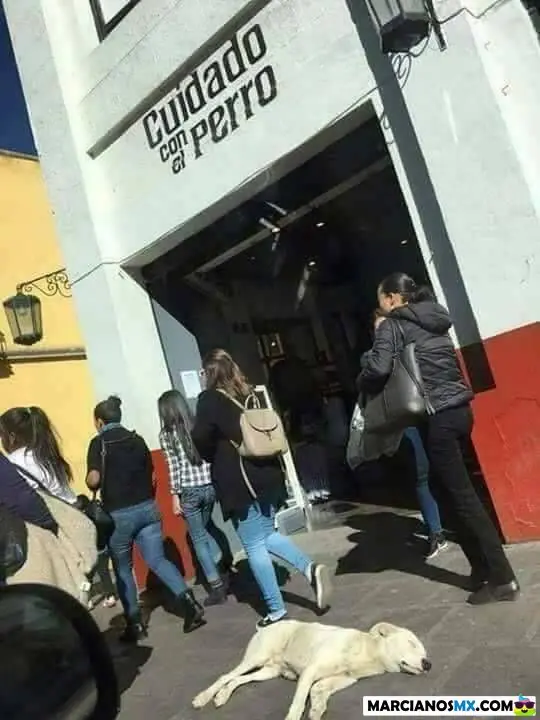 el mejor