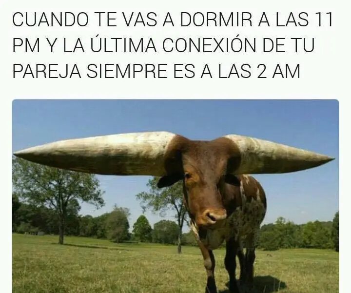 entretenimiento