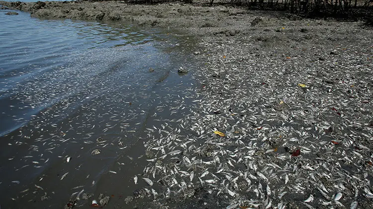 contaminacion