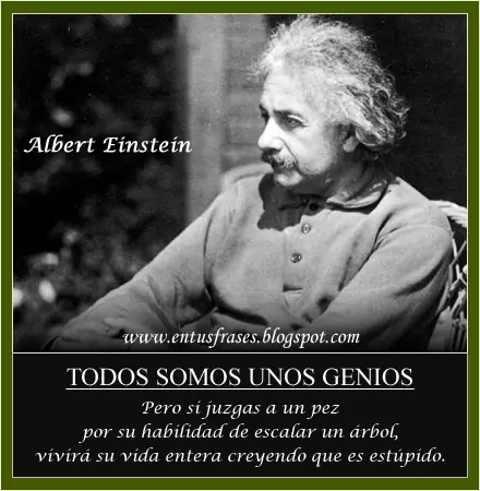vida