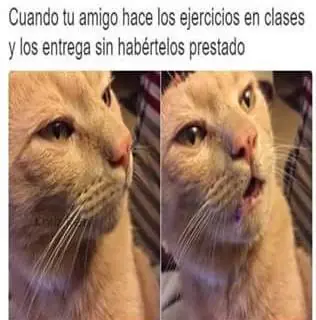 humor