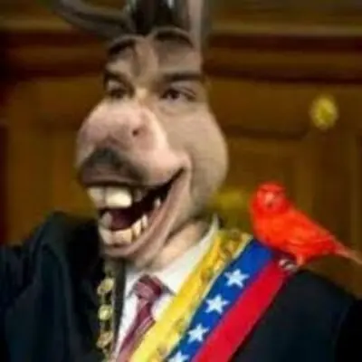 Galeria de hipocritas: Gabriela Chavez y Rosinés Chávez