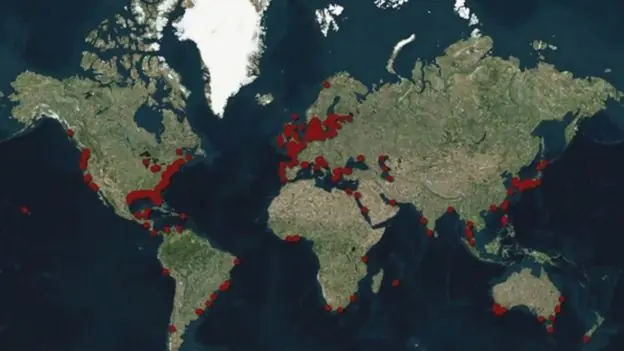 Zonas muertas de los oceanos ¡enterate con este superpost!