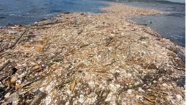 Zonas muertas de los oceanos ¡enterate con este superpost!