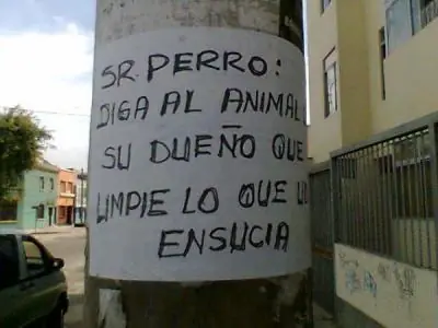 Divertidos