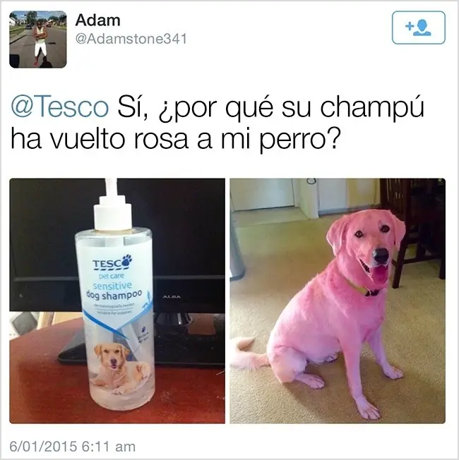 Quejas
