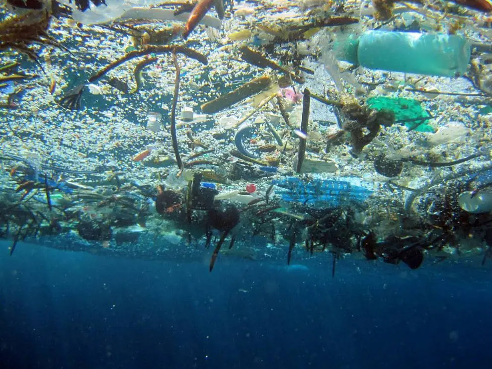 Zonas muertas de los oceanos ¡enterate con este superpost!