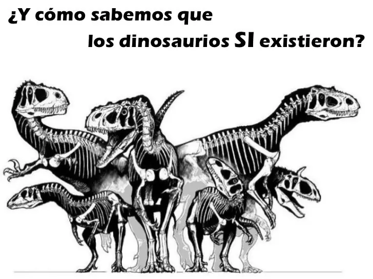 Los dinosaurios nunca existieron
