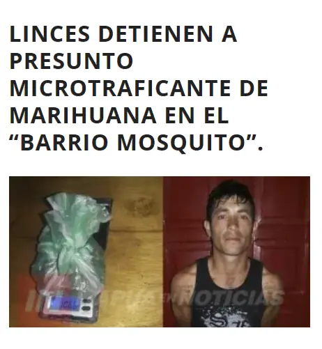 Grupo de linces esta barriendo la delincuencia en las calles