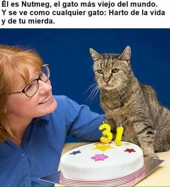 Imágenes de humor para este viernes