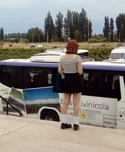 virgo