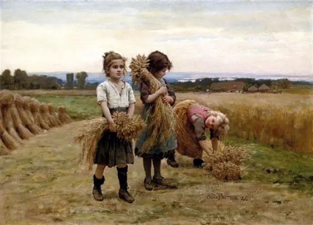 social social