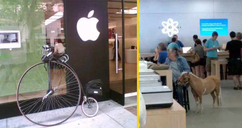 apple