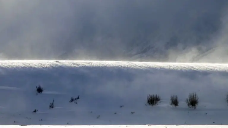 tsunami