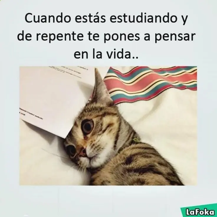 Noche