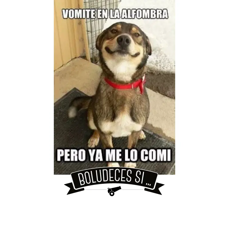 memes