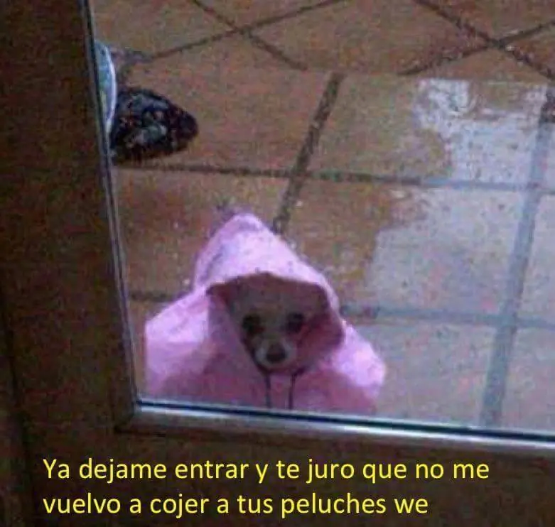 humor